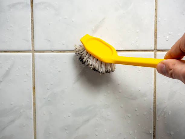 Best Fast Mold Removal  in Carbondale, PA