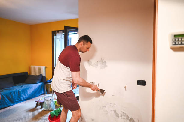 Best Professional Mold Removal  in Carbondale, PA